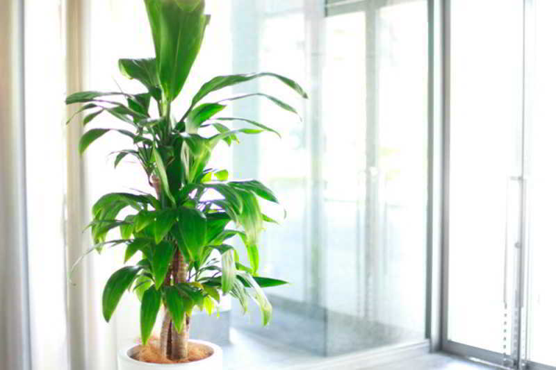 Kkr Hotel Hakata Fukuoka (Fukuoka) Exterior foto